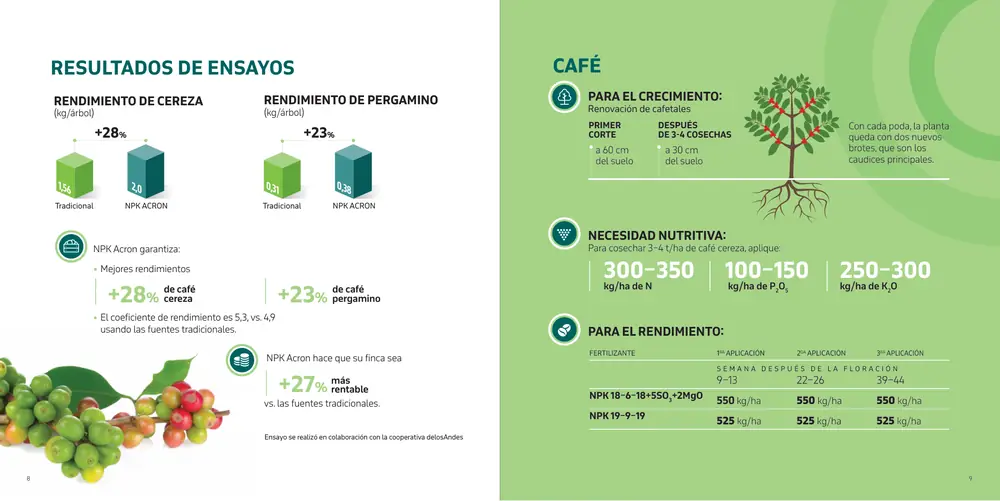 Página 25: Ensayo se realizó en colaboración con la cooperativa delosAndes RENDIMIENTO DE CEREZA (kg/árbol) +28% RENDIMIE