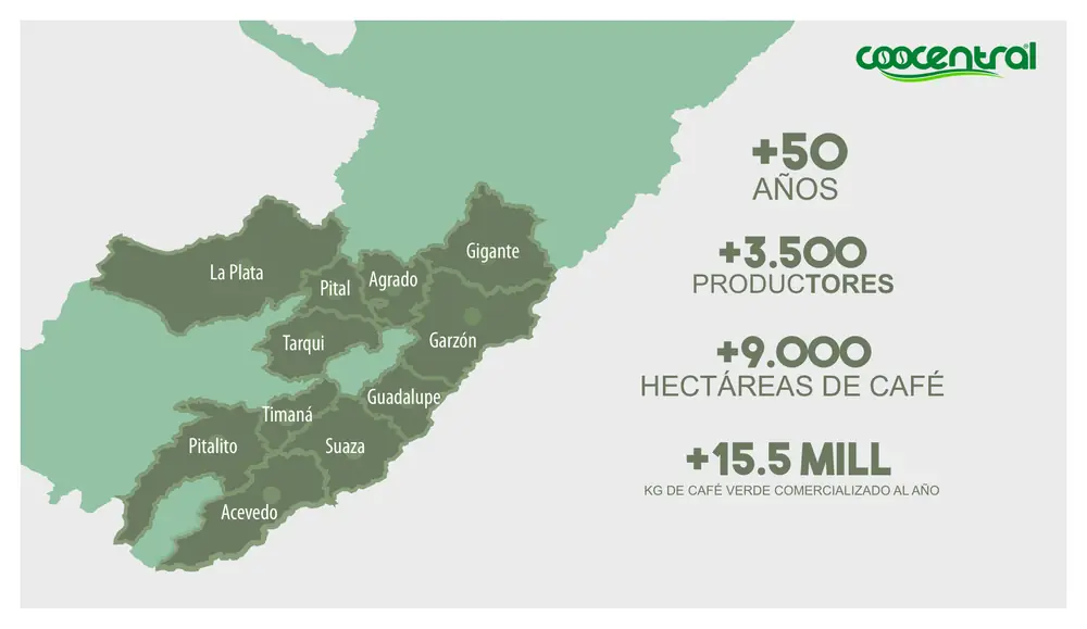 Página 4: Gigante Garzón Agrado La Plata Acevedo Pitalito Guadalupe Suaza Timaná Pital Tarqui +50 AÑOS +3.500 PRODUCTORE