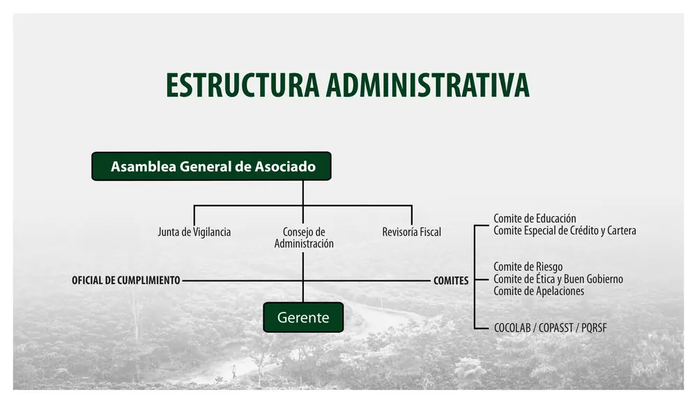 Página 5: Asamblea General de Asociado Gerente ESTRUCTURA ADMINISTRATIVA Junta de Vigilancia Consejo de Administración C