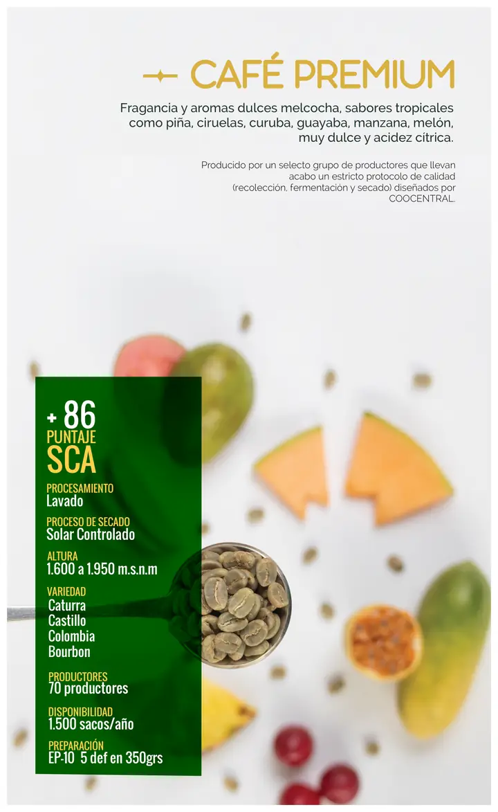 Página 13: + 86 PUNTAJE SCA Lavado PROCESAMIENTO 1.500 sacos/año DISPONIBILIDAD Solar Controlado PROCESO DE SECADO VARIED