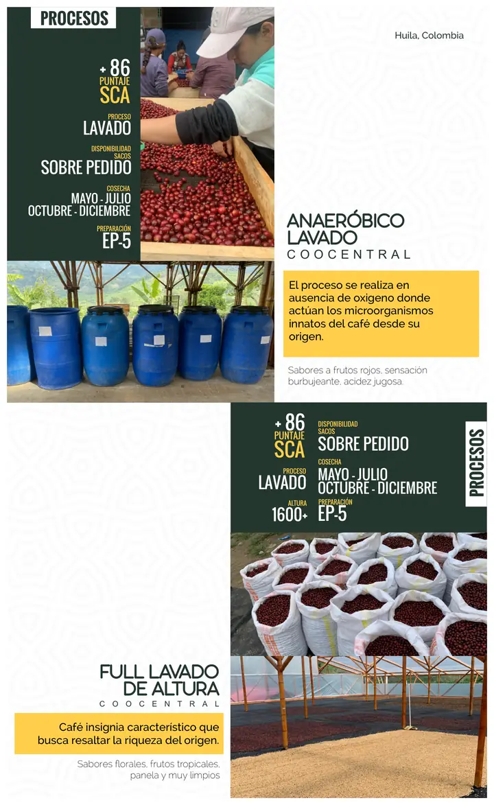 Página 18: ANAERÓBICO LAVADO El proceso se realiza en ausencia de oxigeno donde actúan los microorganismos innatos del ca