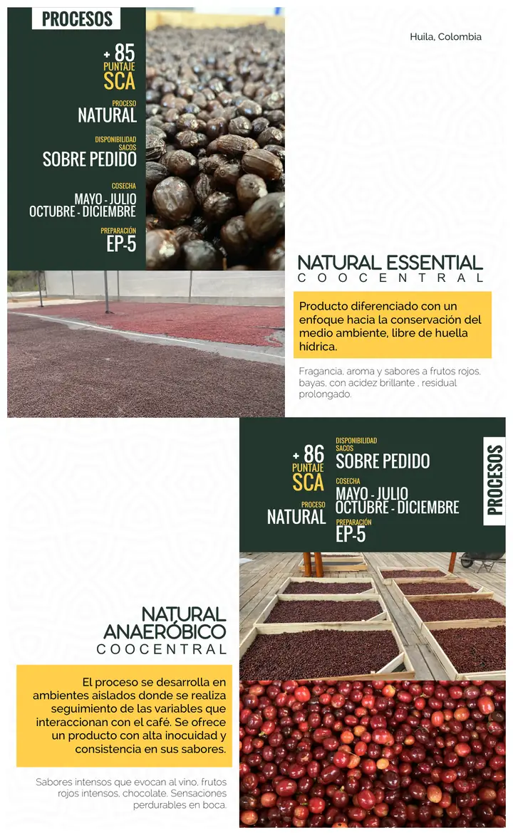 Página 19: NATURAL ESSENTIAL Producto diferenciado con un enfoque hacia la conservación del medio ambiente, libre de huel