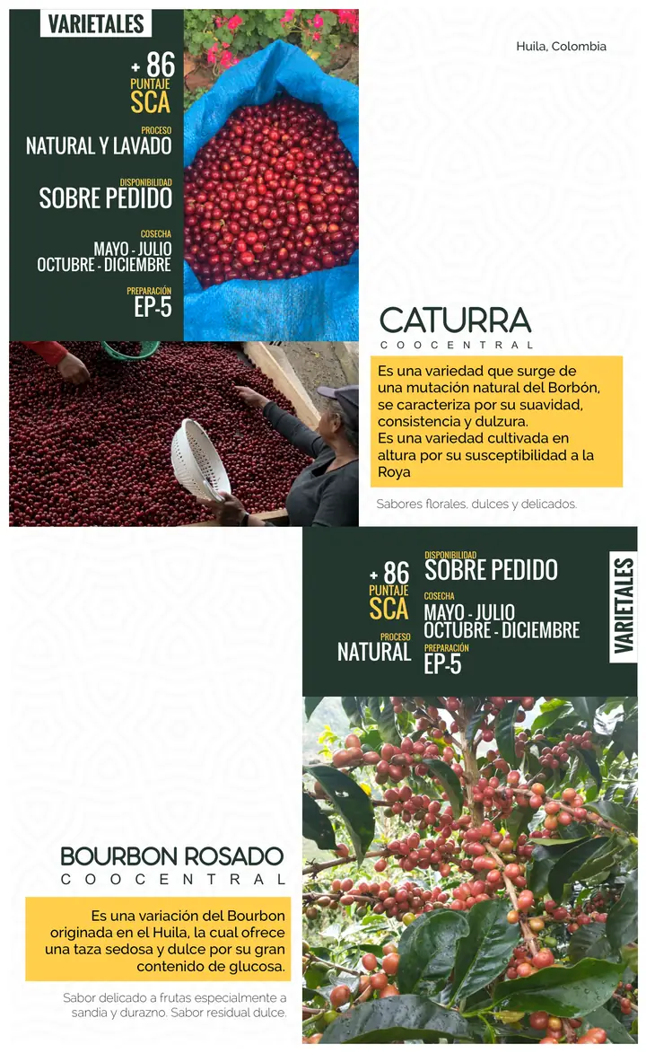 Página 21: Huila, Colombia + 86 PUNTAJE SCA NATURAL Y LAVADO PROCESO SOBRE PEDIDO DISPONIBILIDAD EP-5 PREPARACIÓN MAYO - 